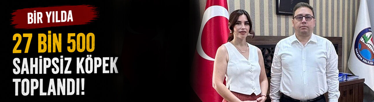 Bir yılda 27 bin 500 sahipsiz köpek toplandı