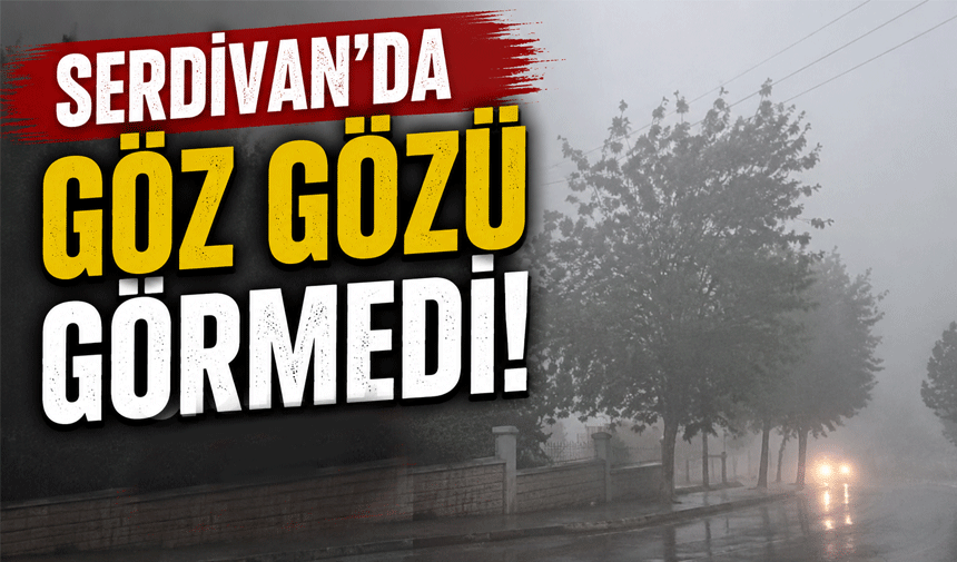 Sakarya’da Şiddetli Yağış ve Rüzgar Etkili Oldu! Göz Gözü Görmedi