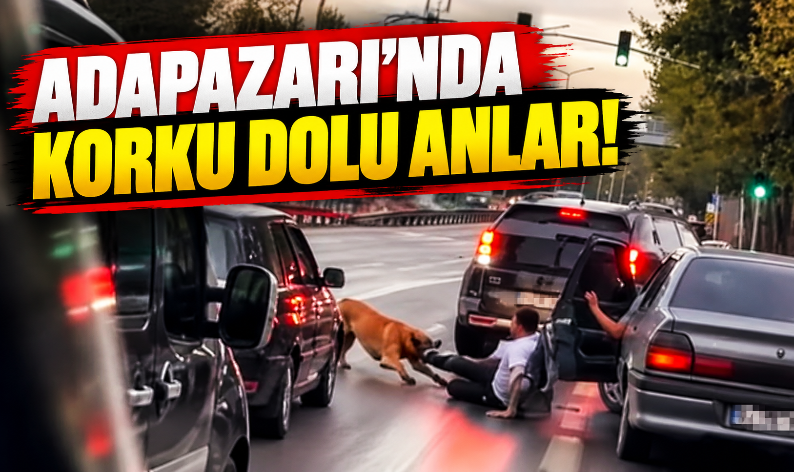 Adapazarı’nda korku dolu anlar! Zinciri kopan köpek vatandaşa saldırdı