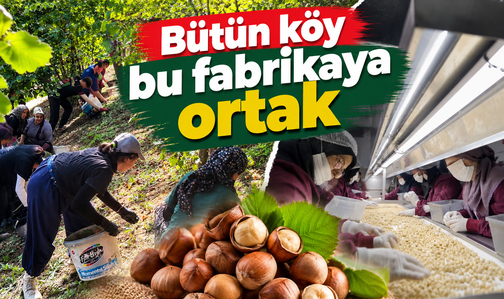 Bütün köy bu fabrikaya ortak! Sakarya Çikolatası Amerika'ya ihraç edildi