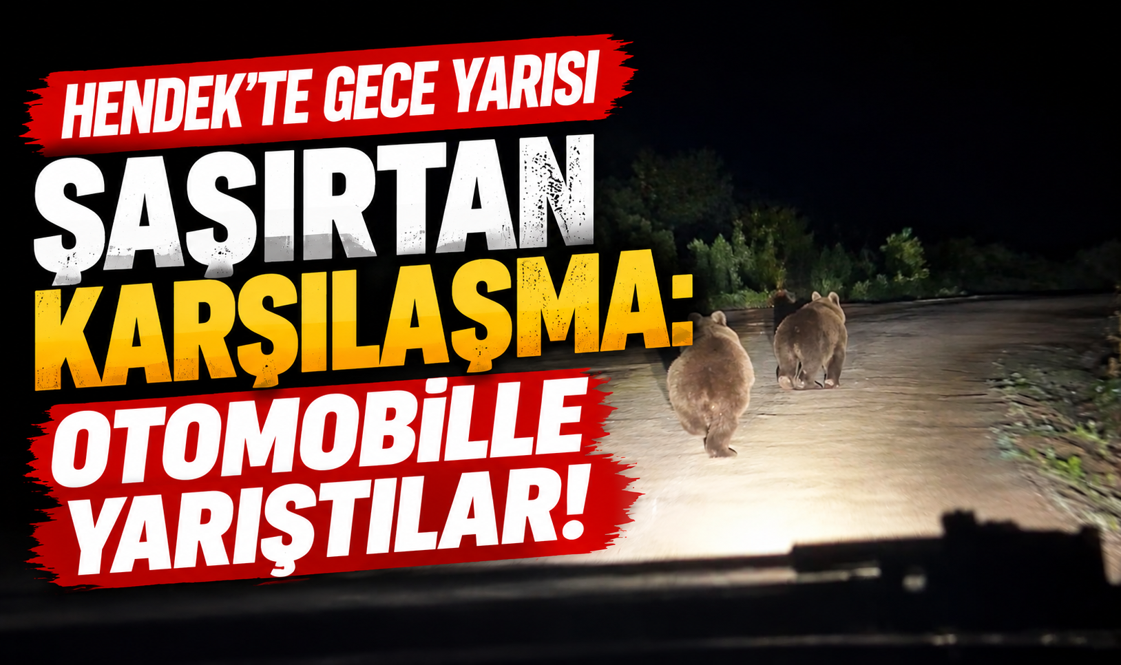 Hendek’te gece yarısı şaşırtan karşılaşma: Otomobille yarıştılar!