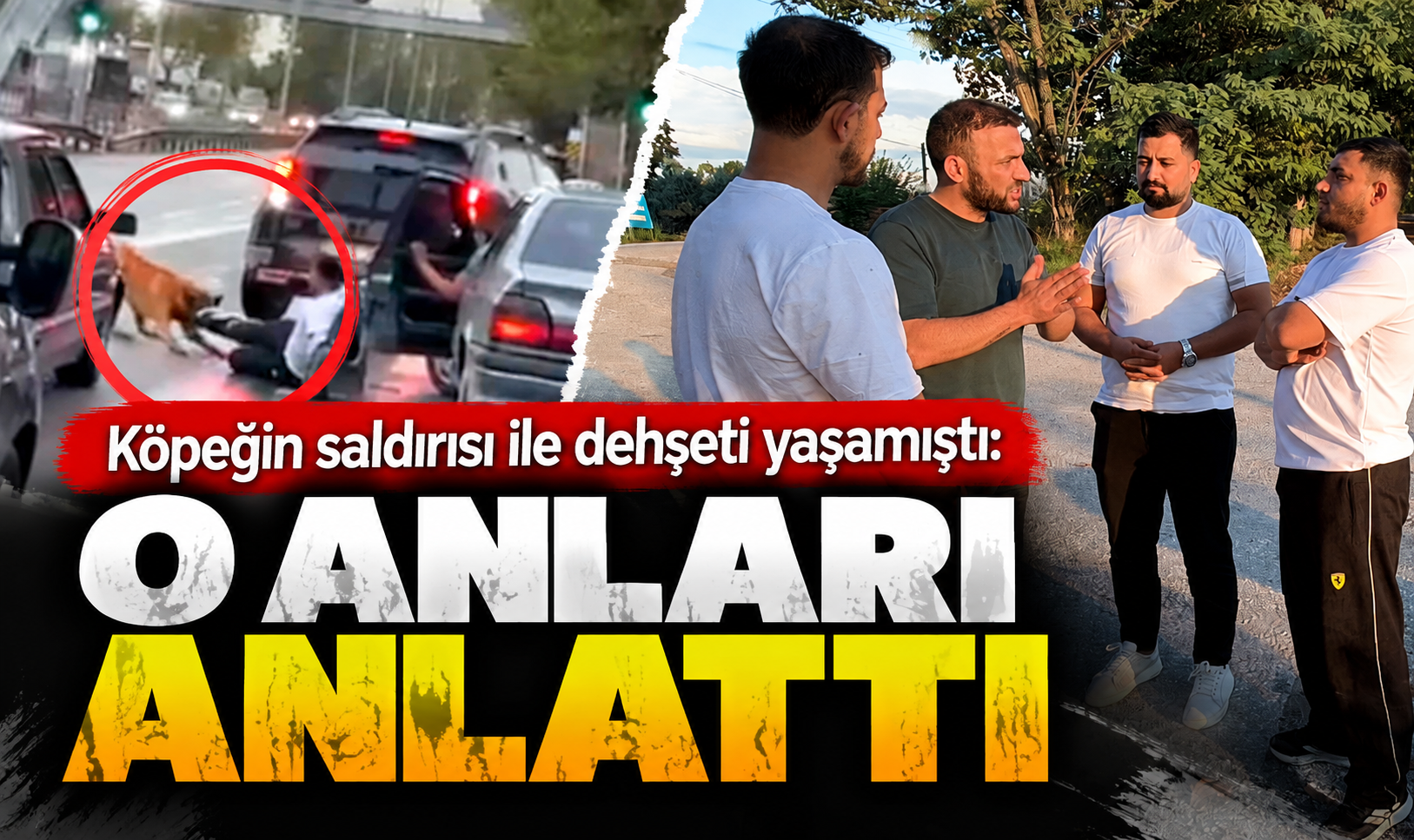 Köpeğin saldırısı ile dehşeti yaşamıştı: O anları anlattı