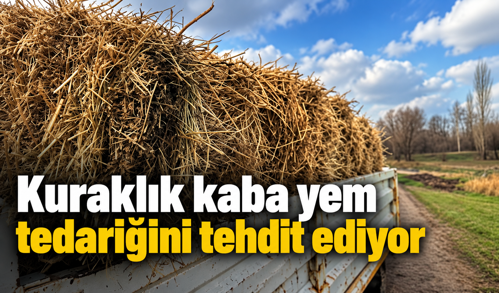 Kuraklık kaba yem tedariğini tehdit ediyor