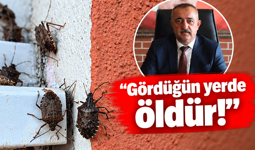 Gördüğün yerde öldür!