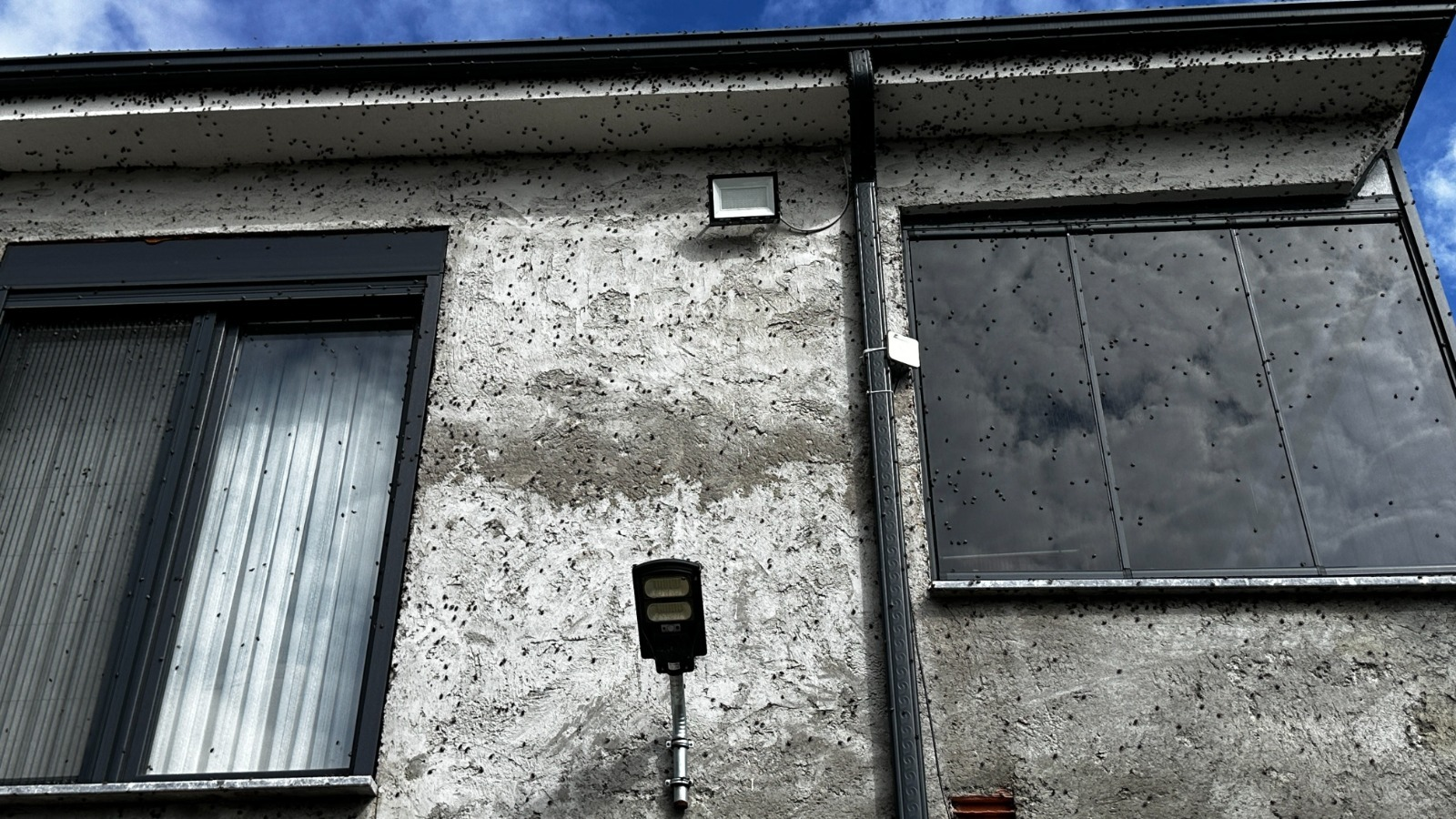 Görsel 2026 10 12 115606413