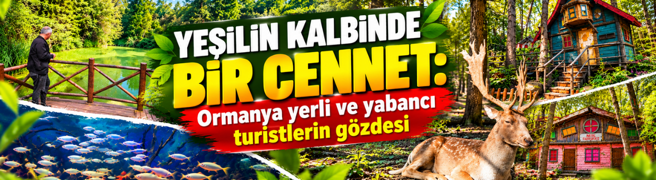 Yeşilin kalbinde bir cennet: Ormanya yerli ve yabancı turistlerin gözdesi