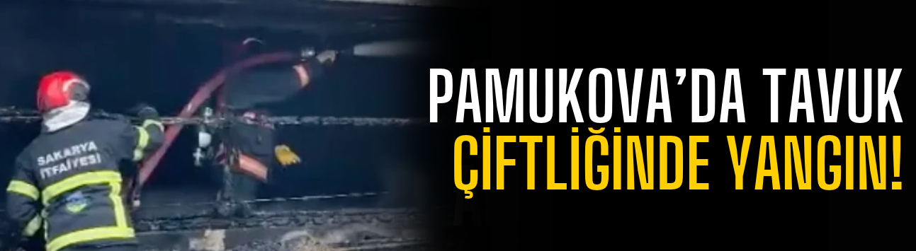 Pamukova’da tavuk çiftliğinde yangın!