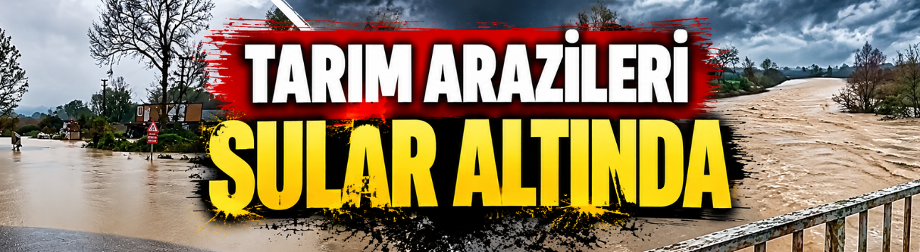 Tarım arazileri sular altında kaldı